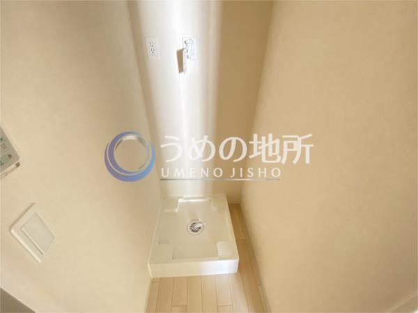 Mana（202） その他