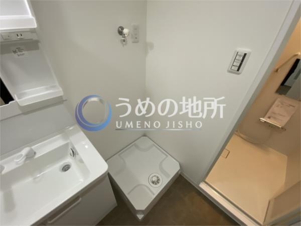ﾗﾌｨﾈB（101） その他