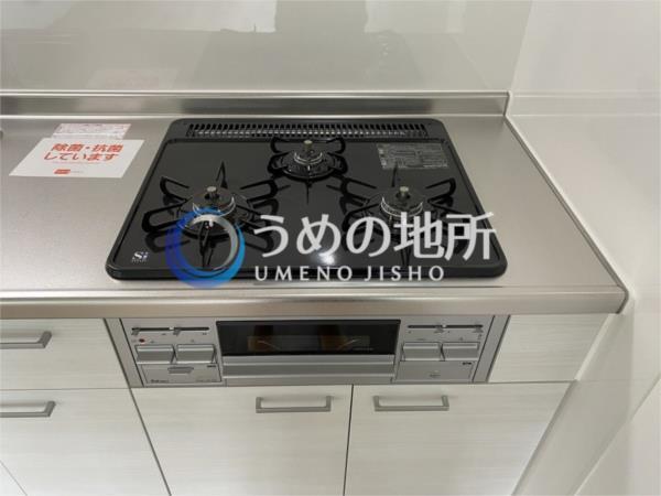 ﾗﾌｨﾈB（101） その他