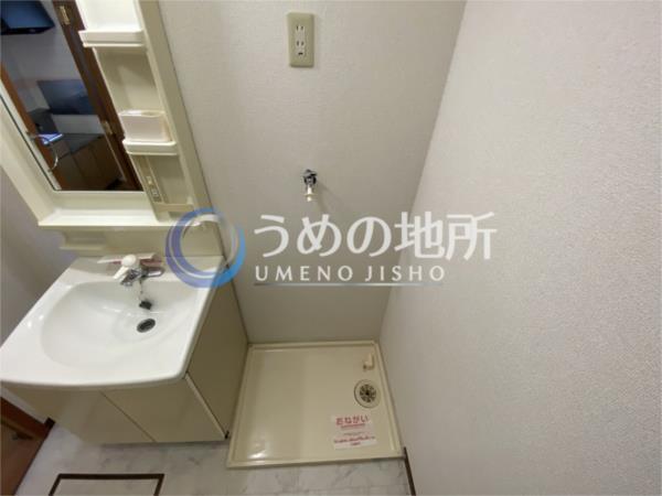 ｻﾌｧｲｱﾝｴﾚｶﾞﾝｽＡ（102） その他