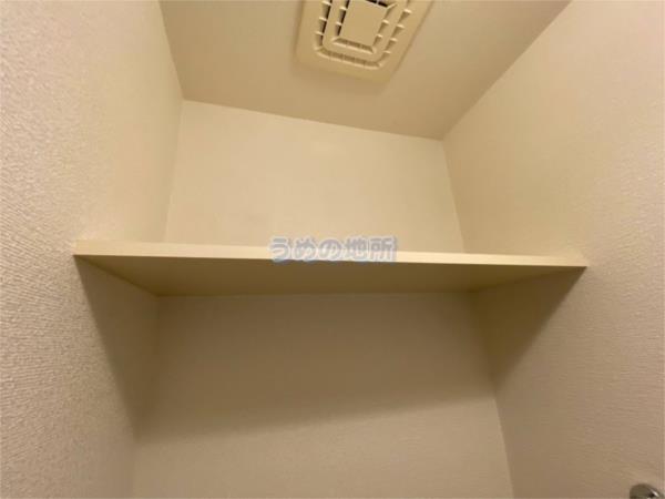 ｱﾝｼﾞｪﾗ（204） その他