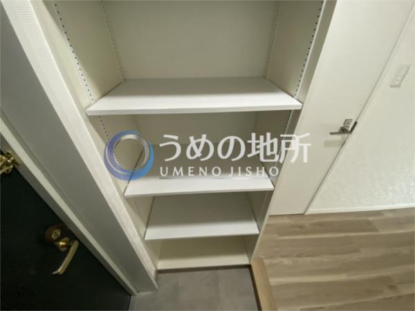 ｻﾝﾋﾙｽﾞ花畑（203） その他