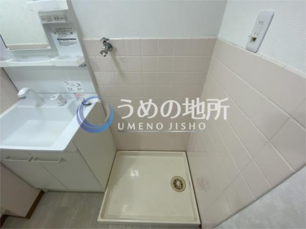 ｻﾝﾋﾙｽﾞ花畑（203） その他