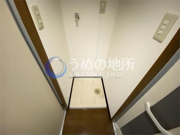 ｻﾝﾛｰﾄﾞｽI（1D） その他