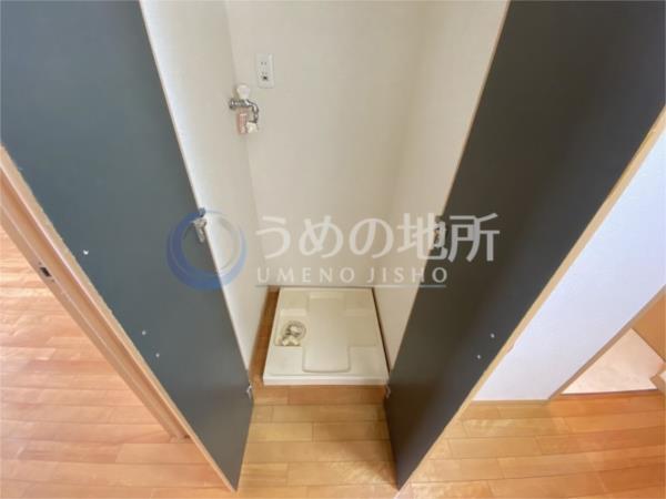 ｼｪｿﾜ（305） その他