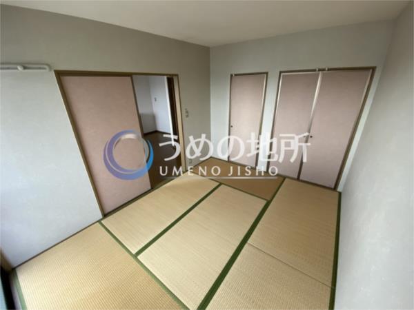 ﾊｲｶﾑ-ﾙ山本B（303） その他
