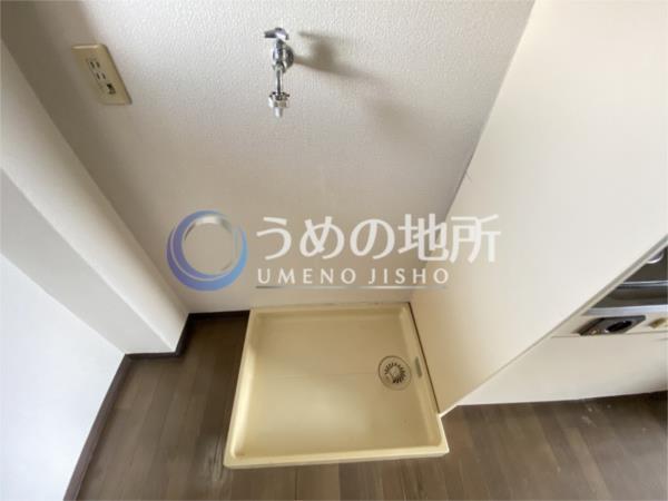 ｾﾚｸﾄﾊｲﾂ（308） その他