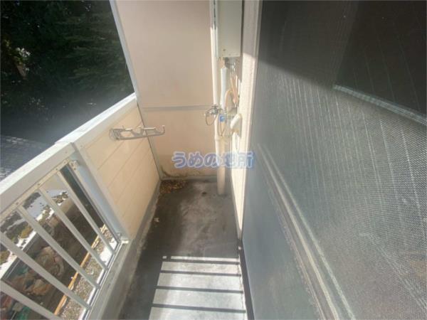 ﾙﾋﾟﾅｽ（303） 部屋画像