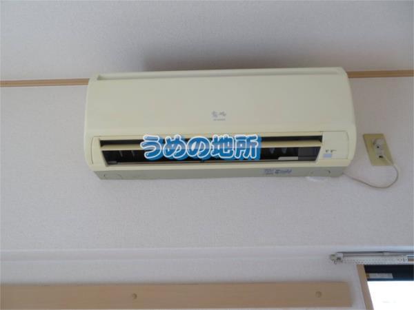 ｺｱ・ﾌｫﾚｽﾀ（305） その他