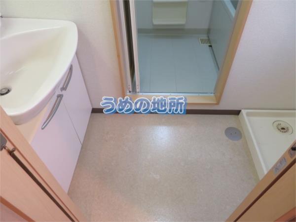 ｺｱ・ﾌｫﾚｽﾀ（305） 部屋画像