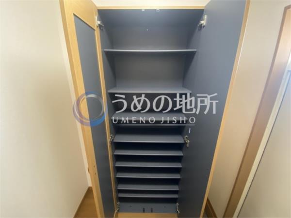 ﾄﾛｲﾒﾗｲII（2） その他