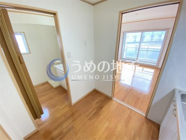 ﾚｸﾞﾙｽｸﾚｰﾙ（309） その他
