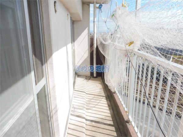 ﾌﾟﾚｱｰﾙ荒木（501） 部屋画像