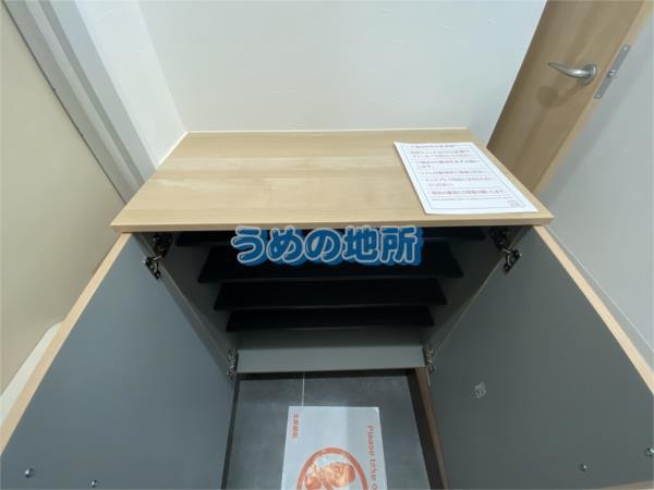 ｱｻﾞﾚｱﾊｲﾂ蒲池（306） その他