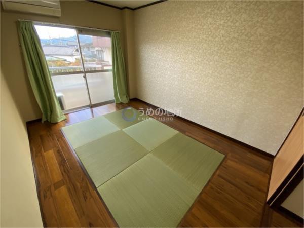 ﾚｼﾞﾃﾞﾝｽ中村B（220） その他部屋・スペース