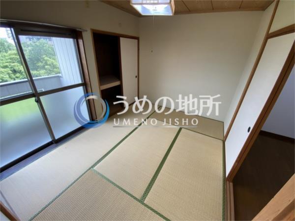 ｵｰｸｽﾊｲﾂ（202） その他部屋・スペース