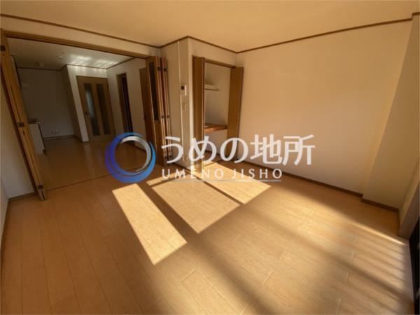 ｱﾒﾆﾃｨII（106） その他