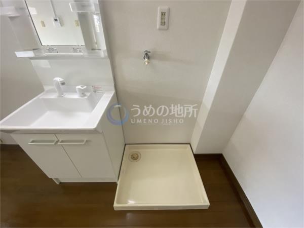 ﾊﾐﾙﾄﾝ21（303） その他