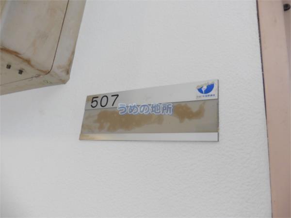 ﾒｿﾞﾝﾌﾞﾗﾝｾ（507） その他