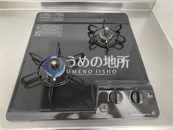 Kanoa（B1） その他