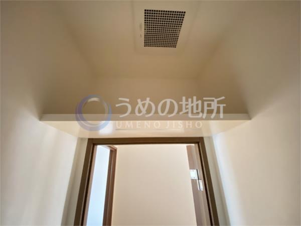 ﾊｲﾂｻﾝﾘﾊﾞｰV（305） その他