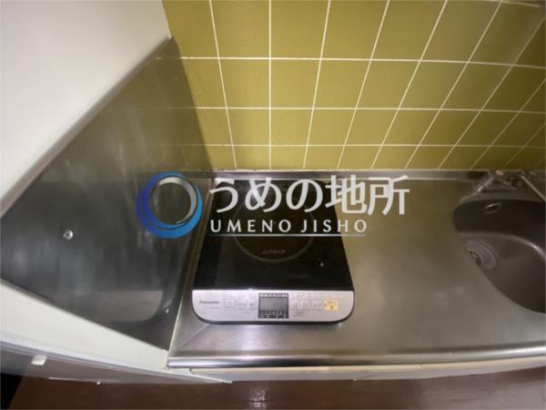 ﾊﾟﾝｼｵﾝﾋﾞﾗD棟（103） その他