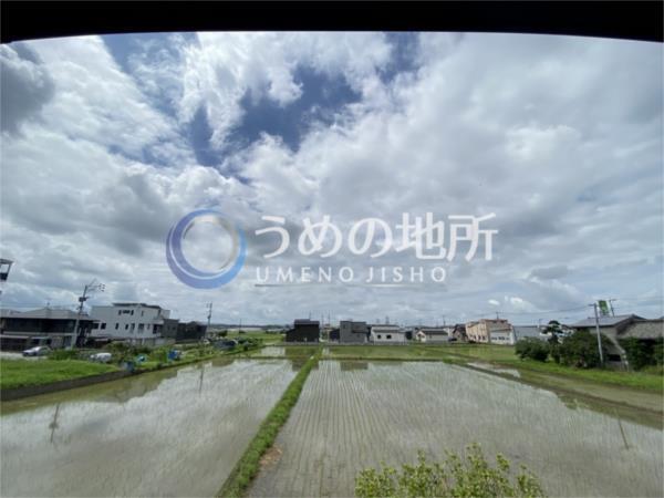 ｿﾚｱｰﾄﾞ（104） その他