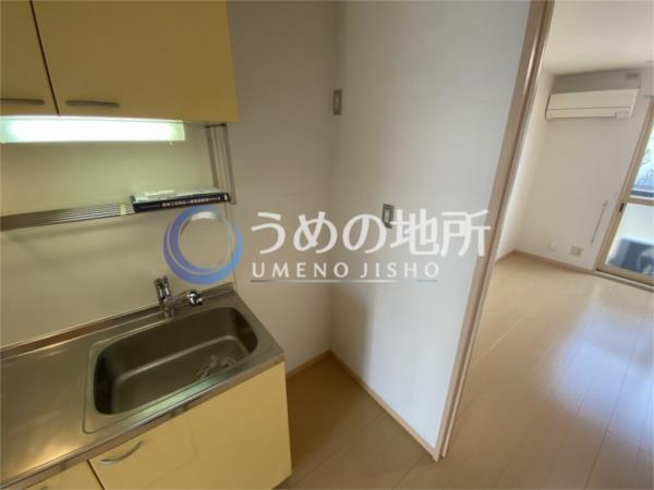 ﾌﾟﾚｼｬｽｺｰﾄ（101） その他