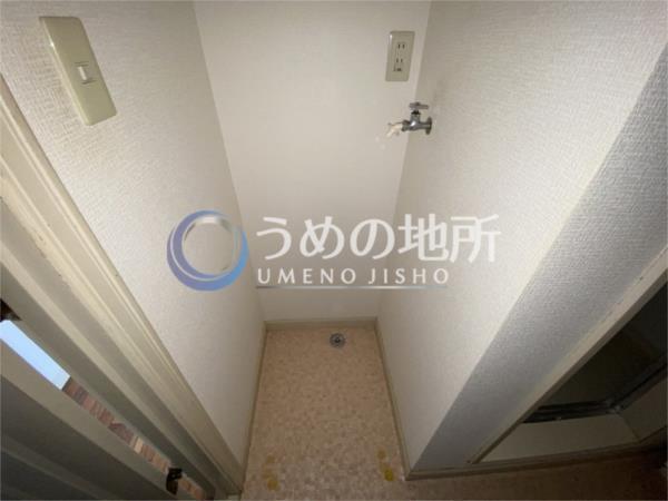 ﾒｿﾞﾝﾌﾙｰﾙA（103） その他