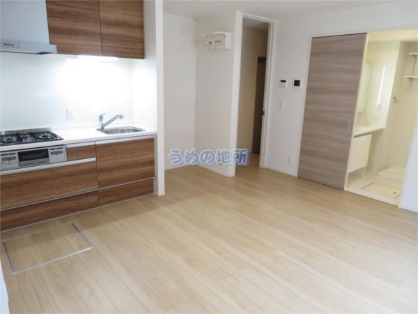 D-roomM.K.（303） リビング