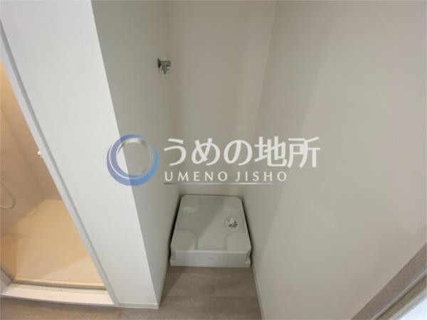 ﾗﾌｨﾈB（305） その他