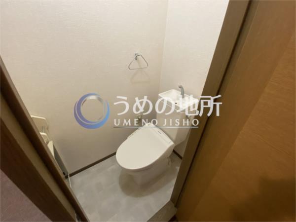 ﾊﾞﾃｨｰﾙ西小森野B棟（307） トイレ