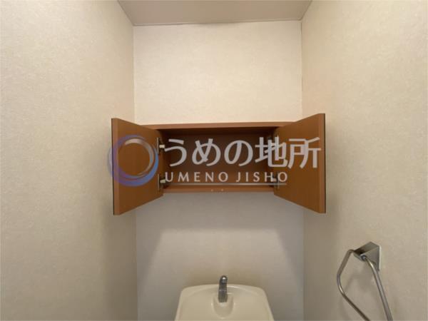 ﾒｿﾞﾝ・ｼｰﾃｨｱ（202） その他