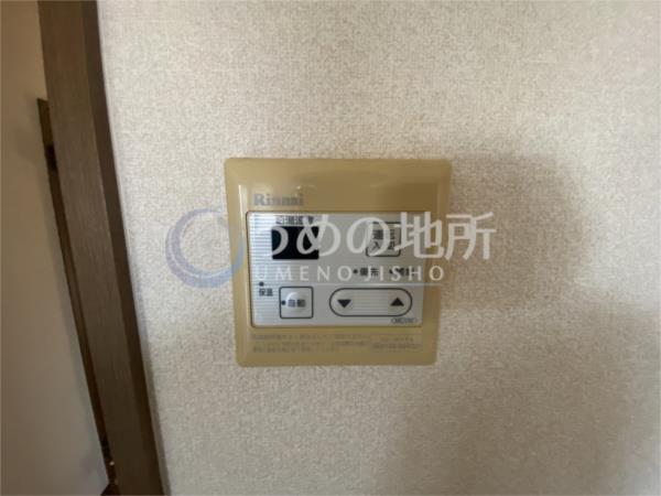 ﾊｲﾈｽｺｰﾎﾟ（203） その他