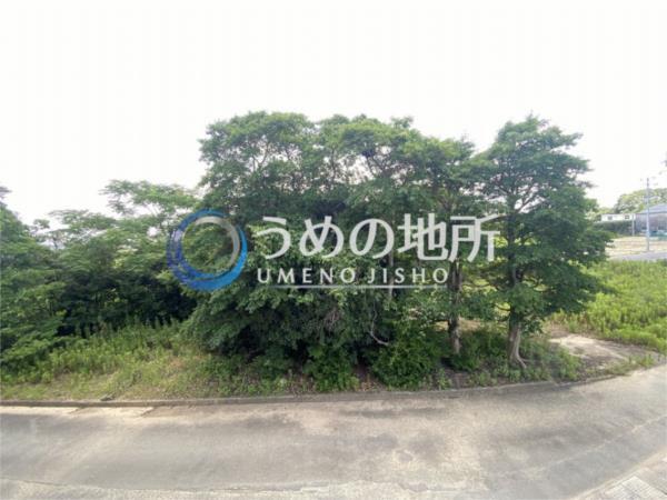 Forest美咲（206） 眺望