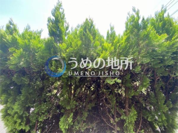 ﾋﾞｸﾄﾘｱ壱番館（102） 眺望