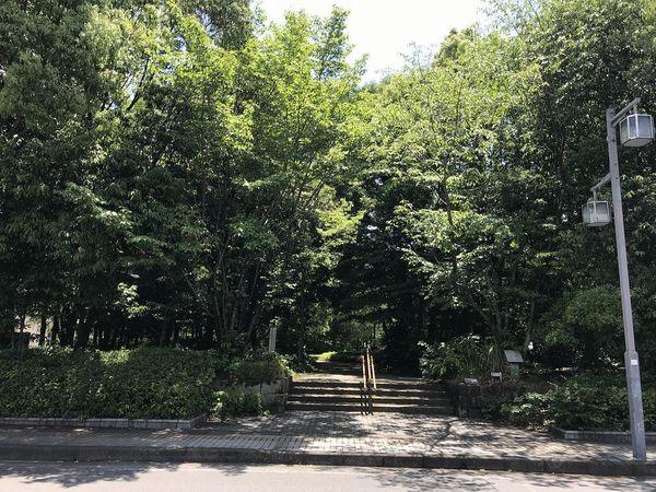 太平公園：558m