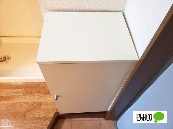 Surplus One  M 部屋画像