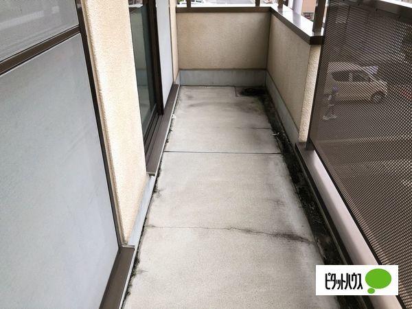 サニーコートヒカリⅡA棟 バルコニー