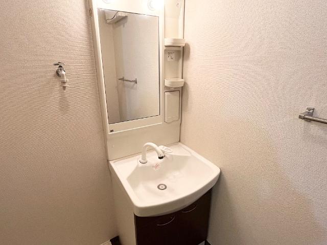 プチメゾン辰 洗面
