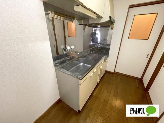 サンライズ大国屋館Ⅱ キッチン