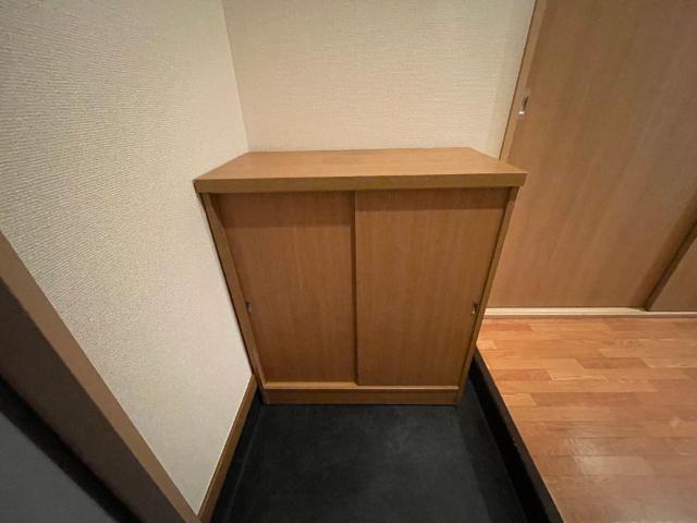 サンサープラスⅢ その他