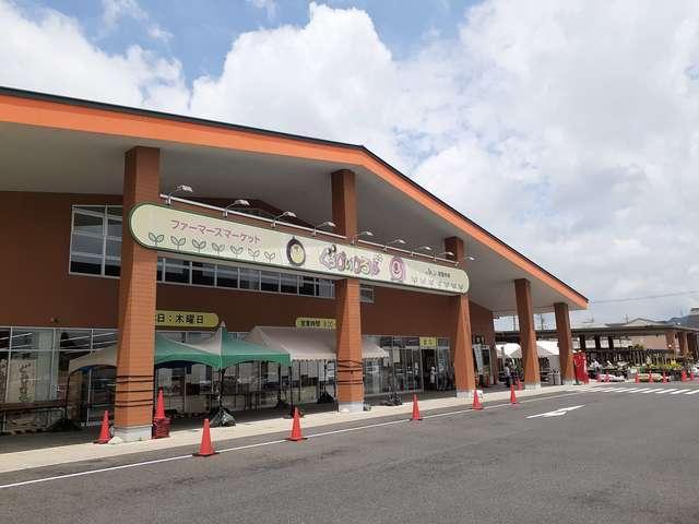 ぐぅぴぃひろば：1300m
