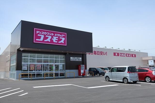 コスモス：450m
