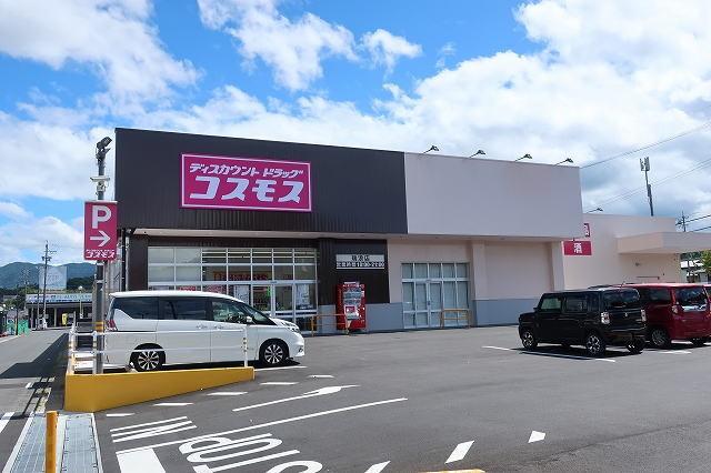 コスモス：650m
