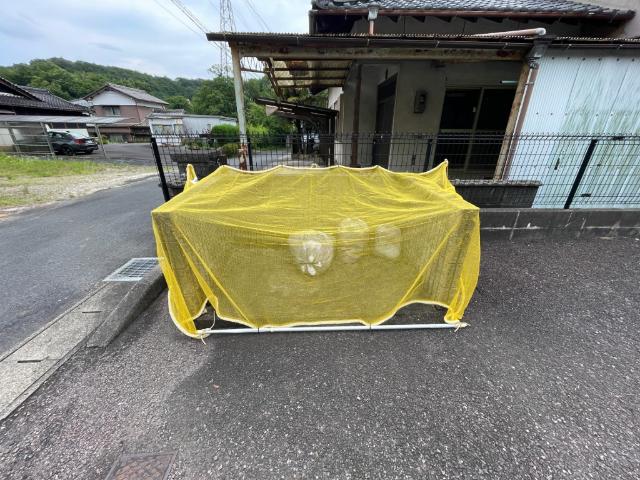 パルカーサ その他
