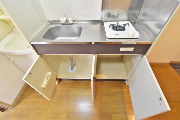 レザンドールⅡ（101） キッチン