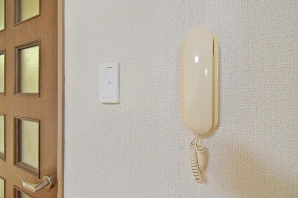 レザンドールⅡ（101） 部屋画像