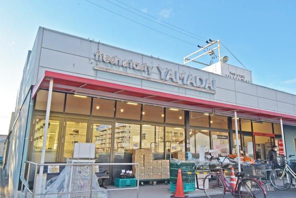 ヤマダイアオヤマ店