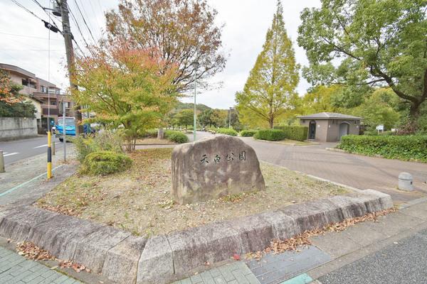 大きな公園あります